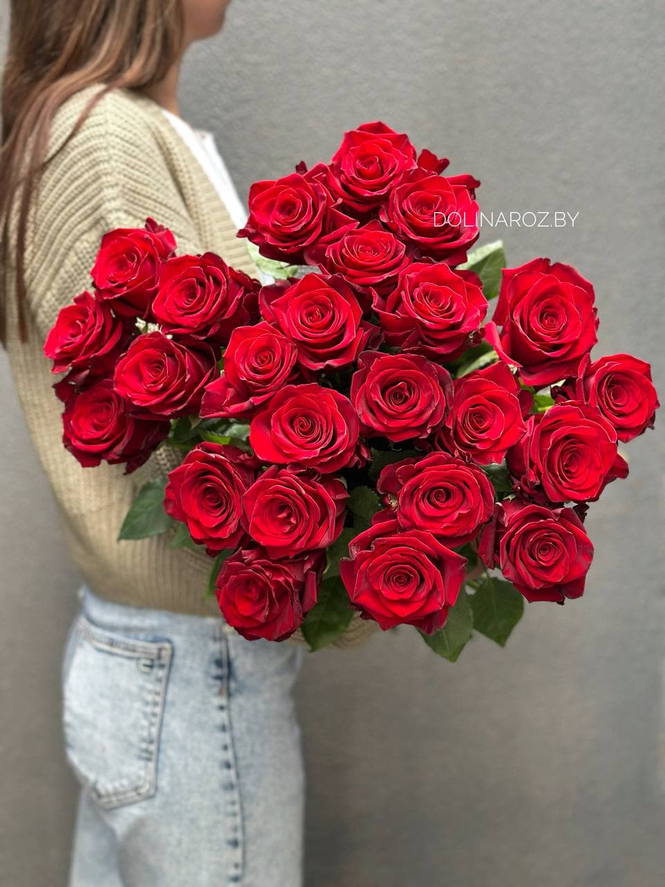 Rose Explorer Ecuador