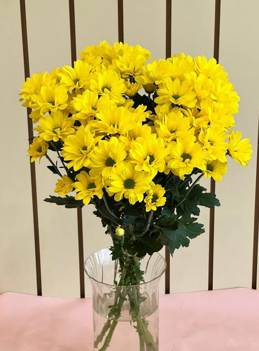 Spray chamomile chrysanthemum (yellow)
