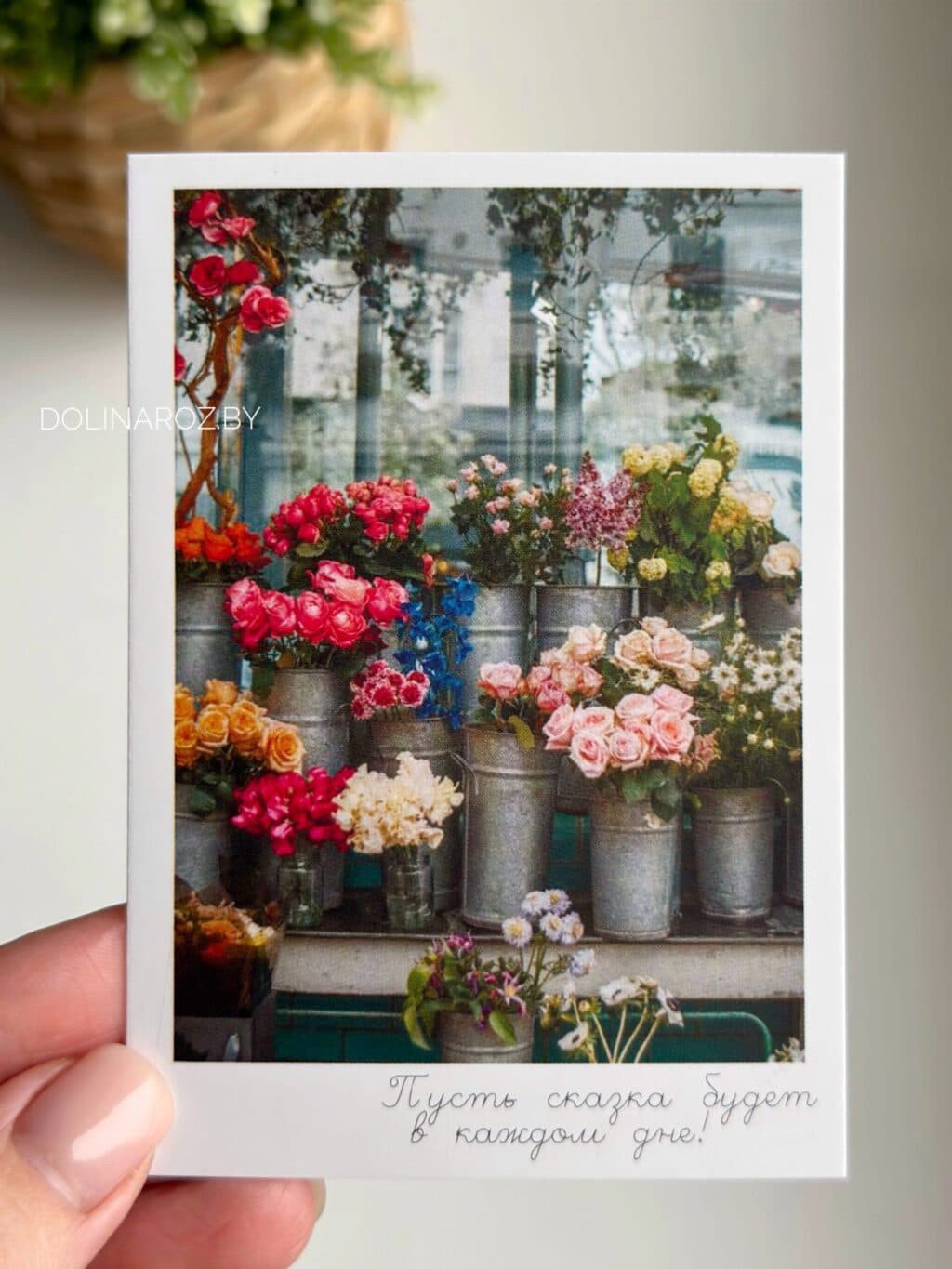 Фотокарточка "Пусть сказка будет в каждом дне!"