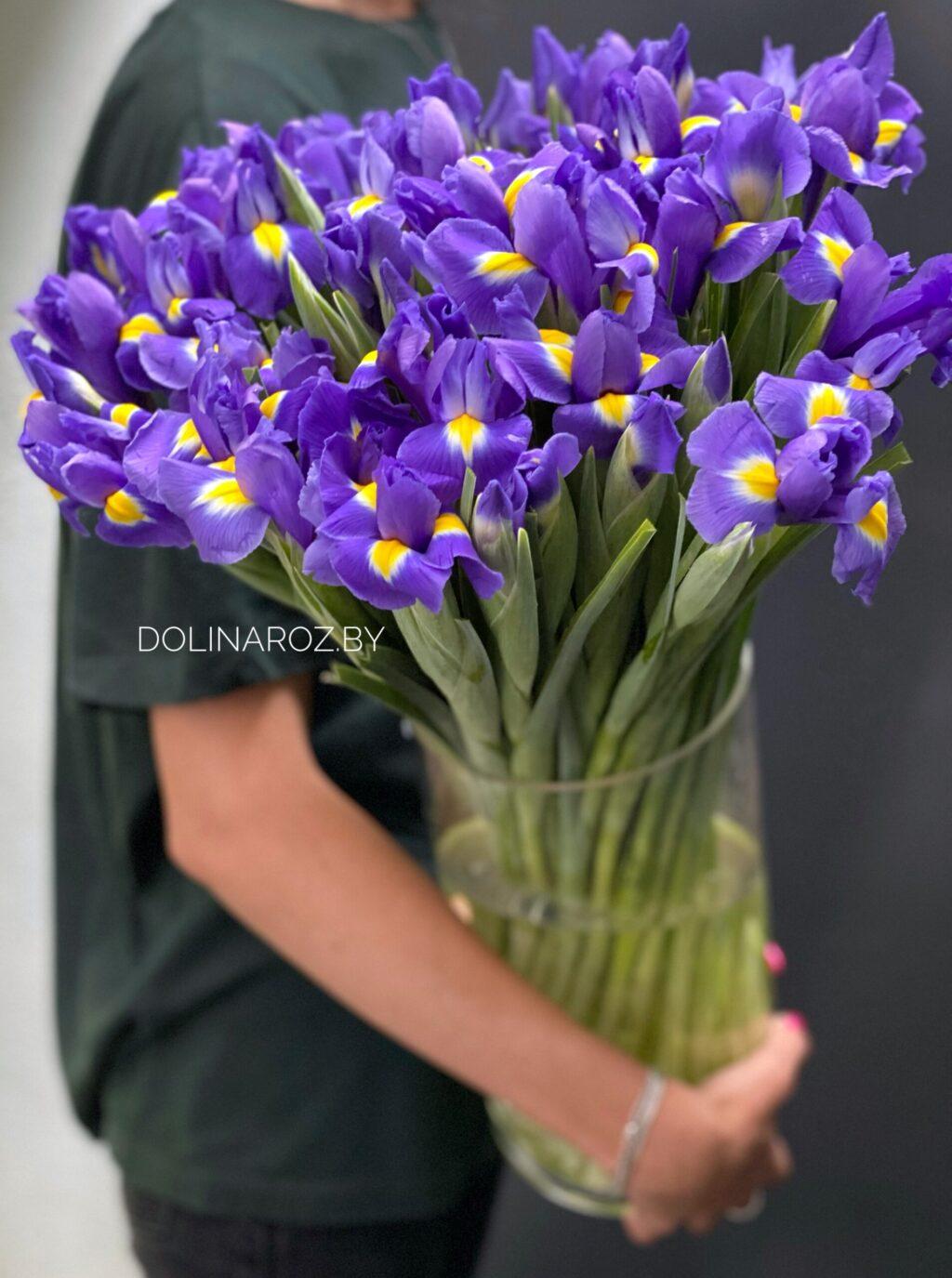 Iris blue
