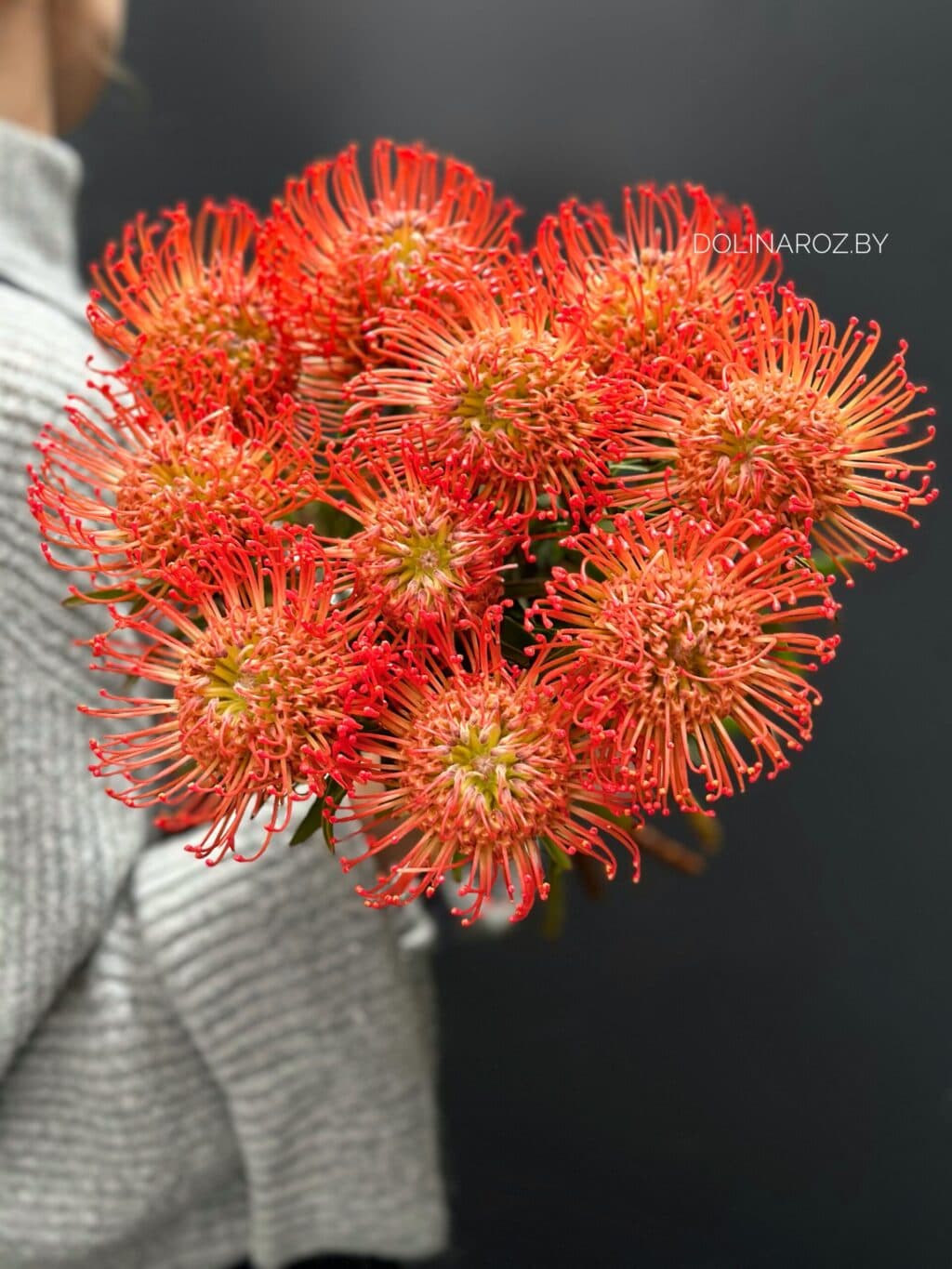 Леукоспермум