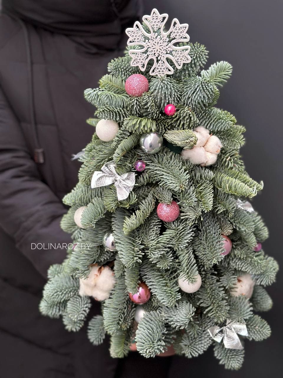 Nobilis tree No. 1