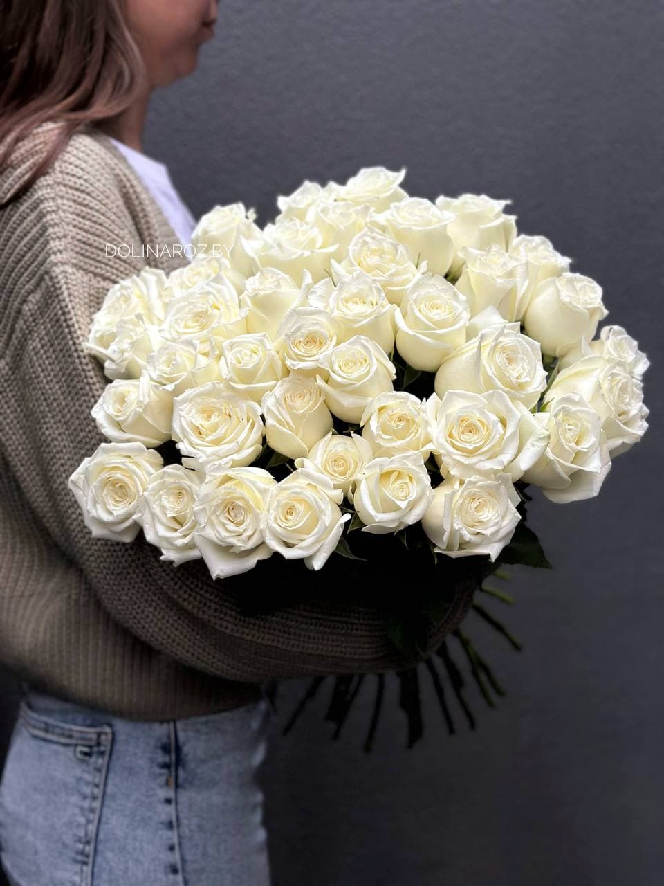 Rose Ice Breaker Kenya