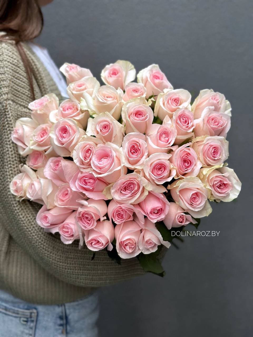 Rosa Sweet Revival (Sweet Revival) Kenya