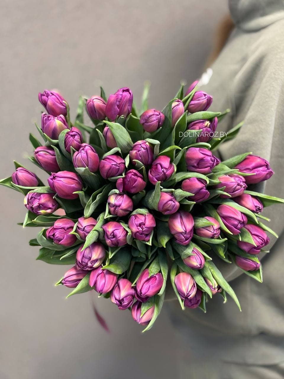 Tulip
