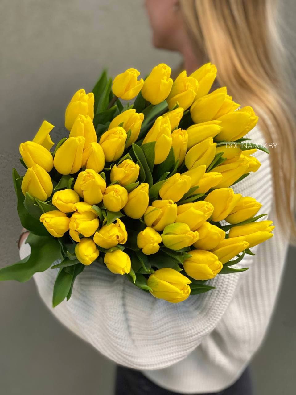 Тюльпан желтый