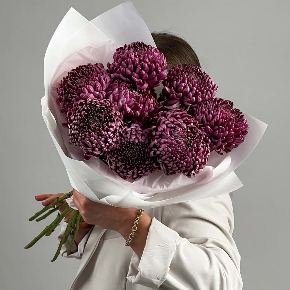 Букет хризантем "Бигуди пурпл 9"