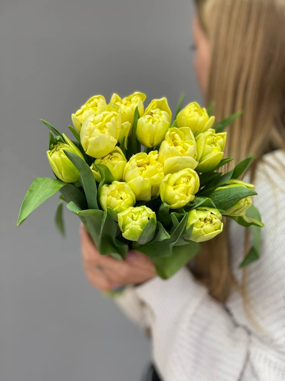 Тюльпан пионовидный Авангард