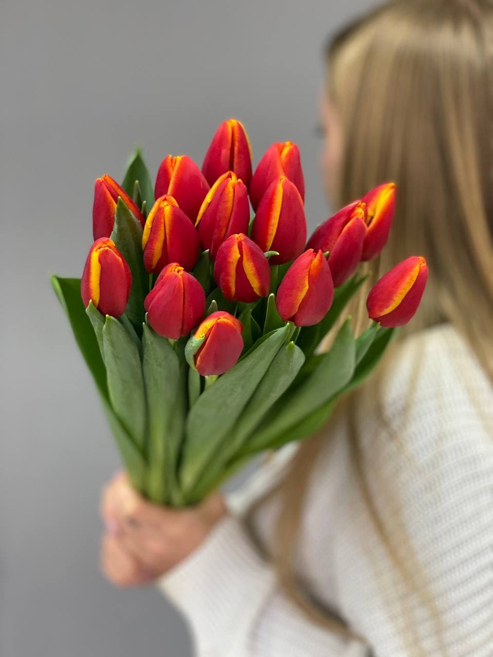 Тюльпан красно-желтый Бодибилдер