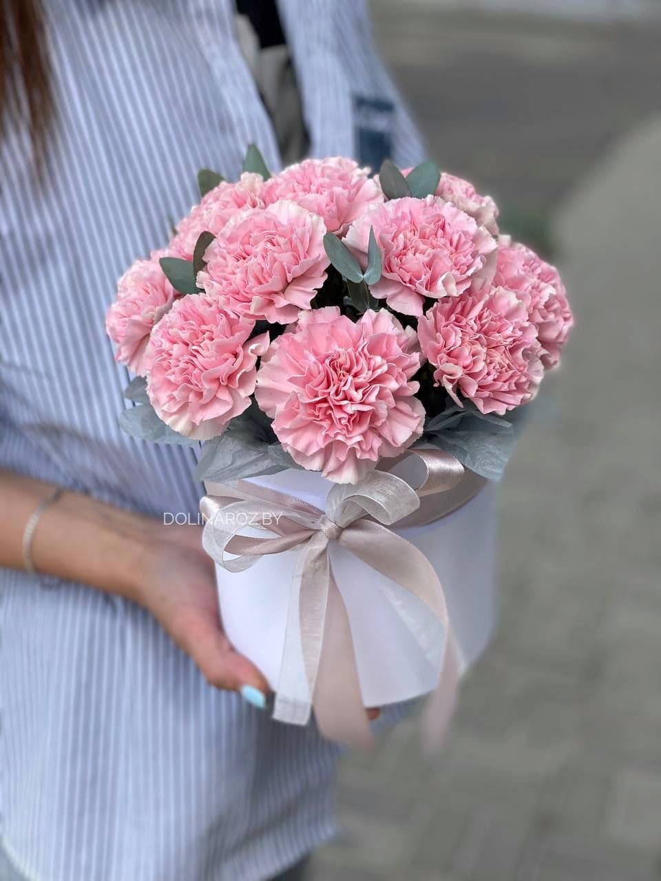 Box of carnations with eucalyptus "Kelly"