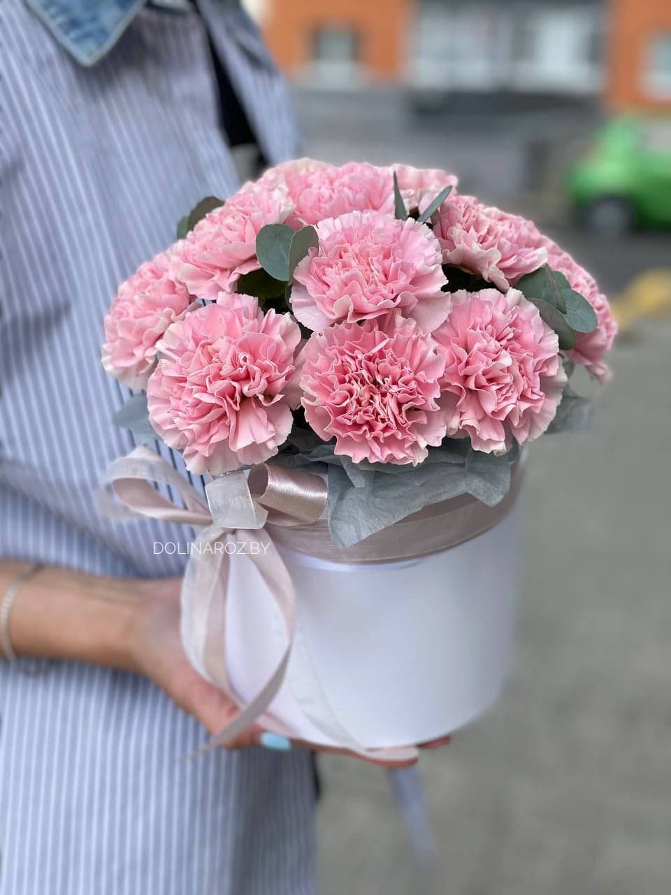 Box of carnations with eucalyptus "Kelly"
